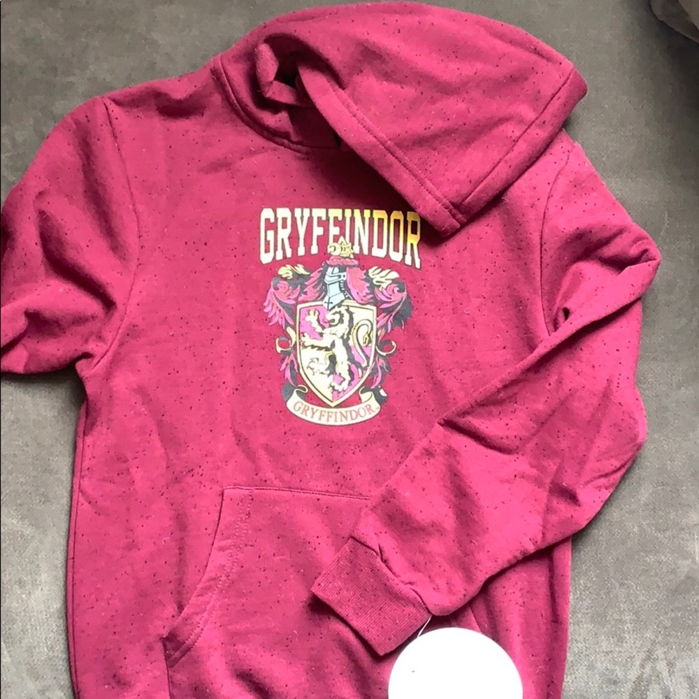 Boys Harry Potter Gryffindor hoodie sweatshirt